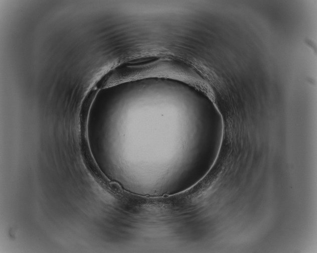 X0000091450630200708231255