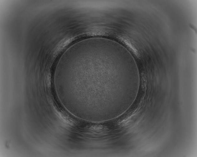 X0000091450631200708231255
