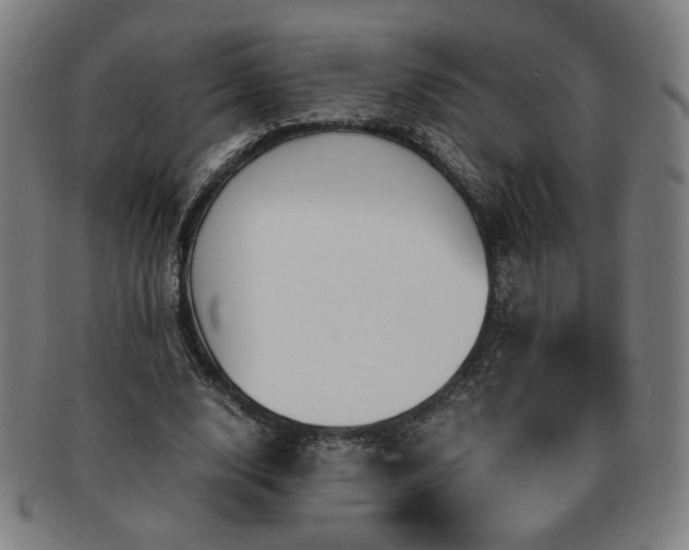 X0000091450632200708231255