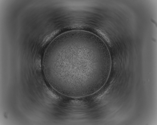 X0000091450633200708231256