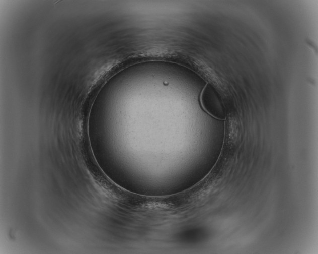 X0000091450636200708231256
