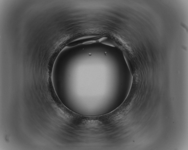 X0000091450637200708231256