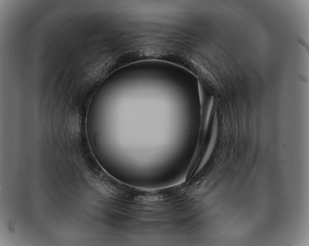 X0000091450639200708231256