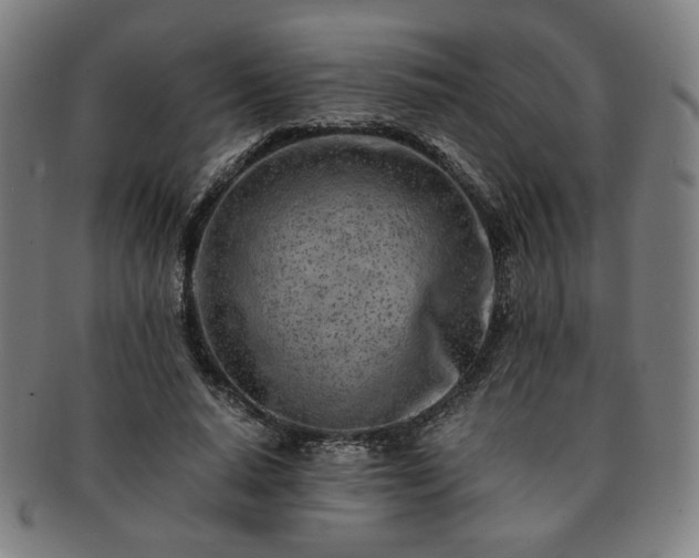 X0000091450640200708231256