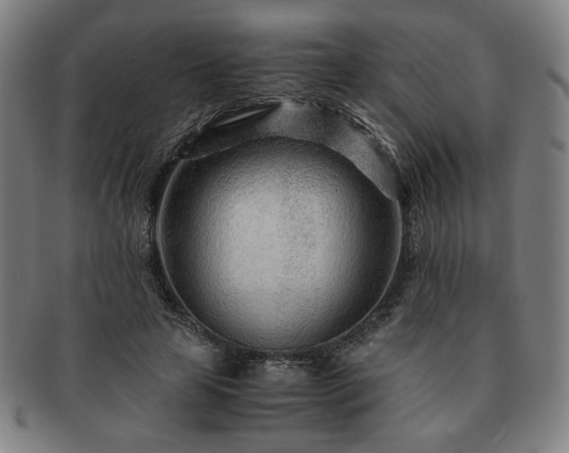 X0000091450641200708231256