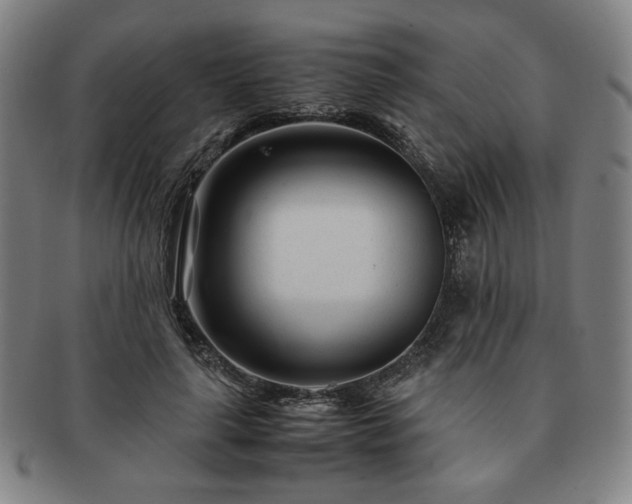 X0000091450643200708231256