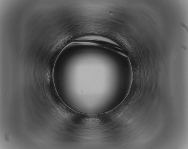 X0000091450644200708231256