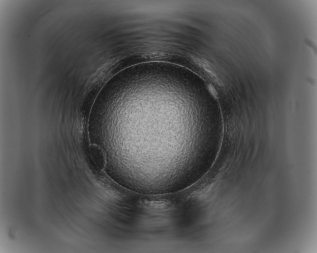 X0000091450645200708231256
