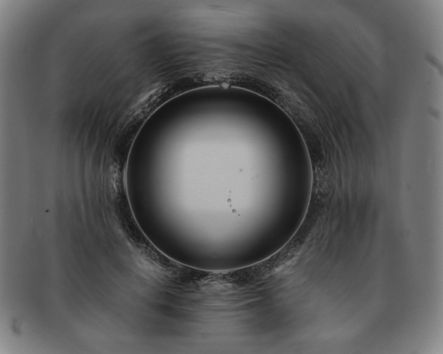X0000091450648200708231256