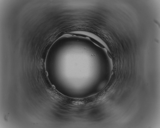 X0000091450649200708231256