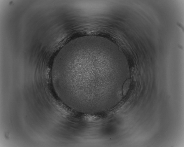 X0000091450650200708231256