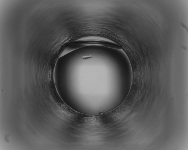 X0000091450652200708231256
