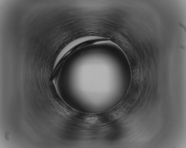 X0000091450653200708231256