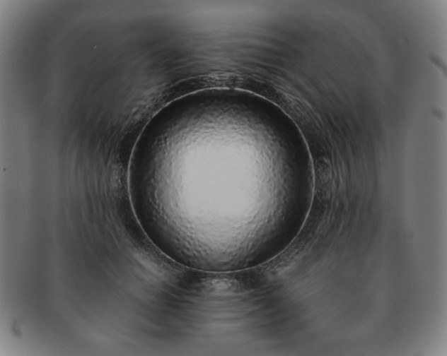 X0000091450654200708231256