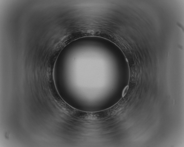 X0000091450656200708231256