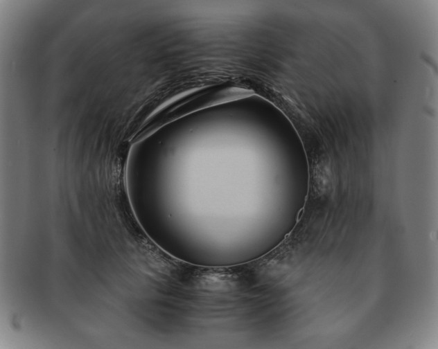 X0000091450657200708231256