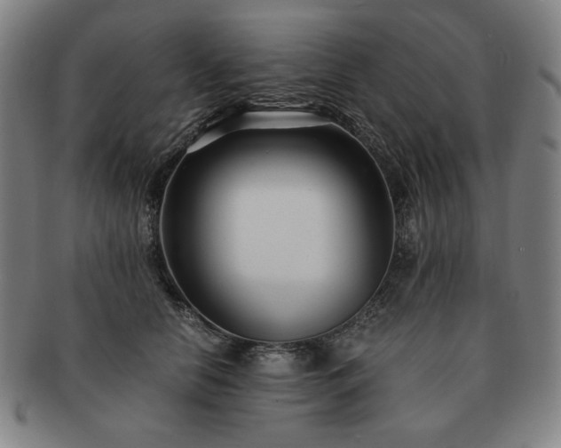 X0000091450658200708231256