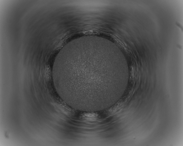 X0000091450659200708231256