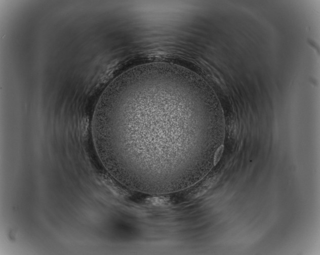 X0000091450660200708231256