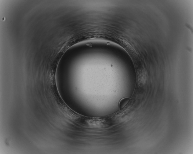 X0000091450661200708231256