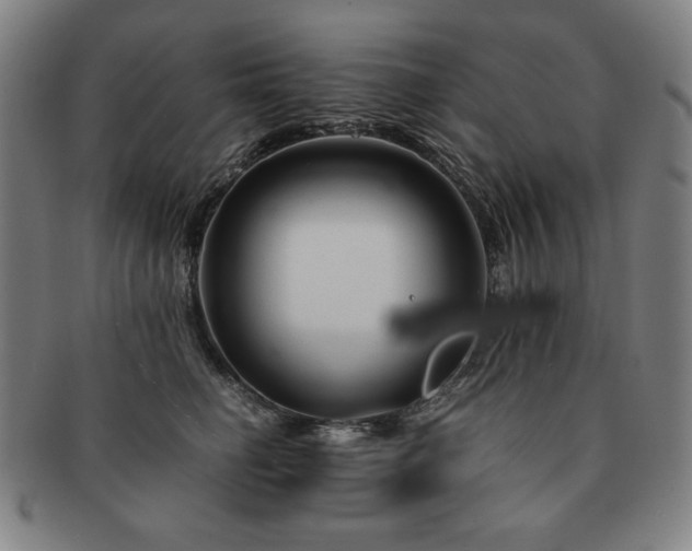 X0000091450662200708231256