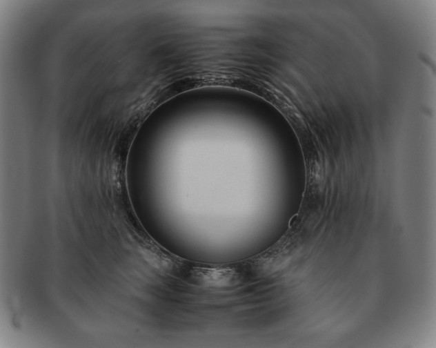 X0000091450663200708231256