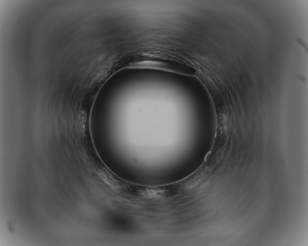 X0000091450664200708231256