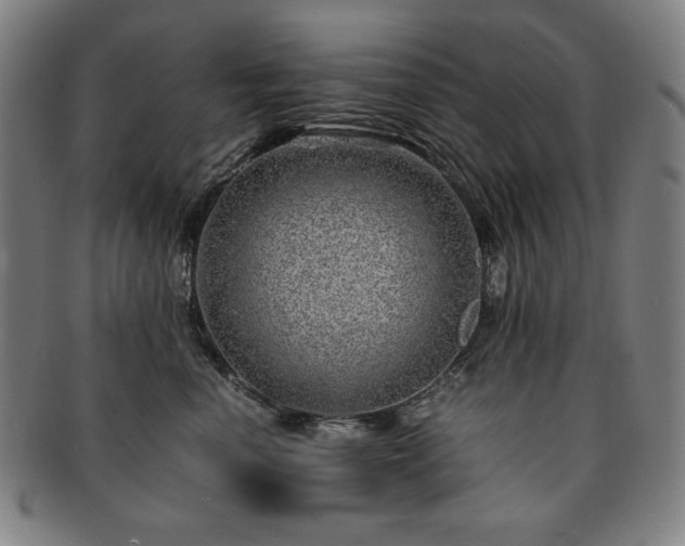 X0000091450666200708231256