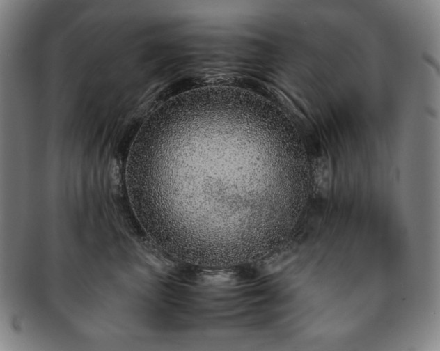 X0000091450667200708231256