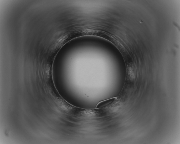 X0000091450668200708231256