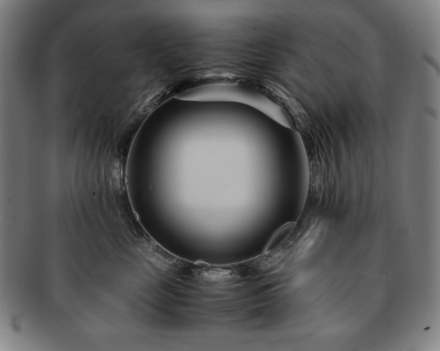 X0000091450669200708231256