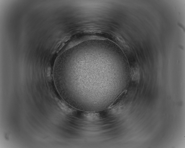 X0000091450670200708231256