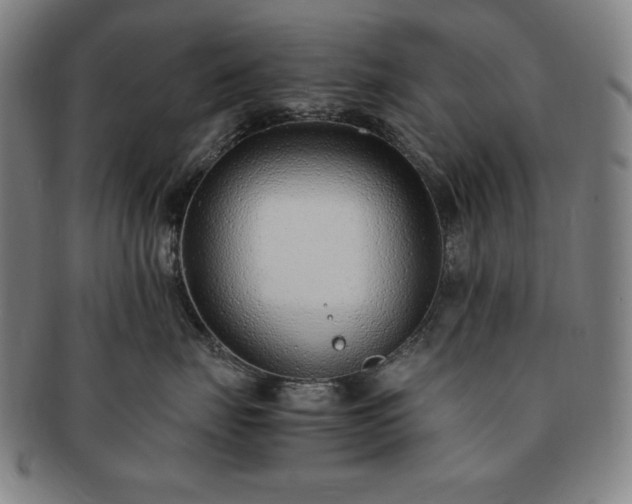 X0000091450671200708231256