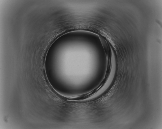 X0000091450673200708231255