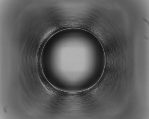 X0000091450674200708231255