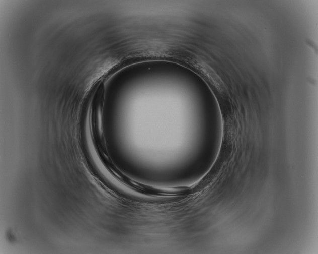 X0000091450677200708231255