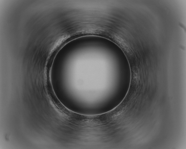 X0000091450678200708231255