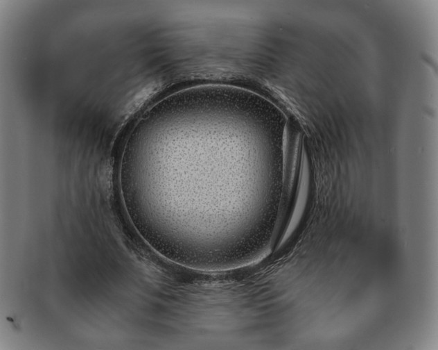 X0000091450679200708231255
