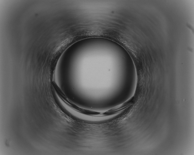 X0000091450681200708231255