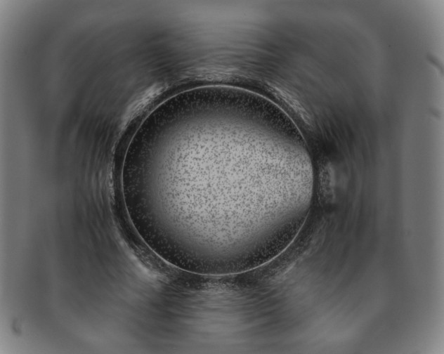 X0000091450682200708231255