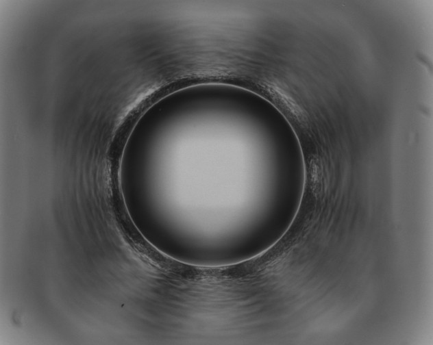 X0000091450684200708231255