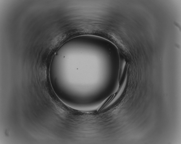 X0000091450685200708231255