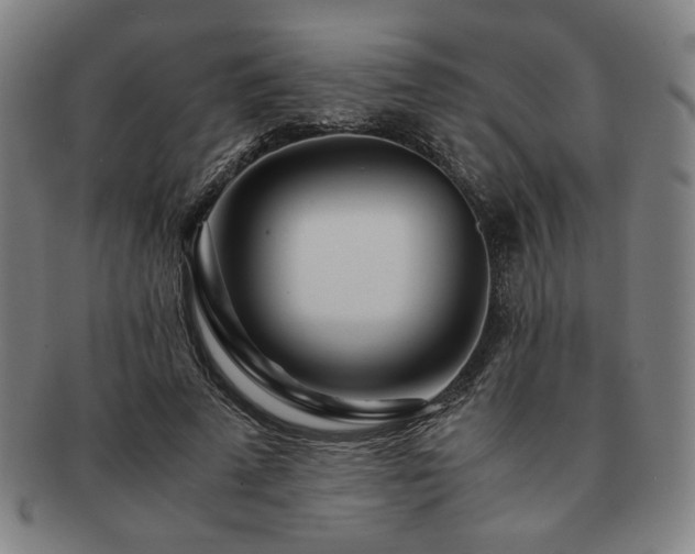X0000091450689200708231255