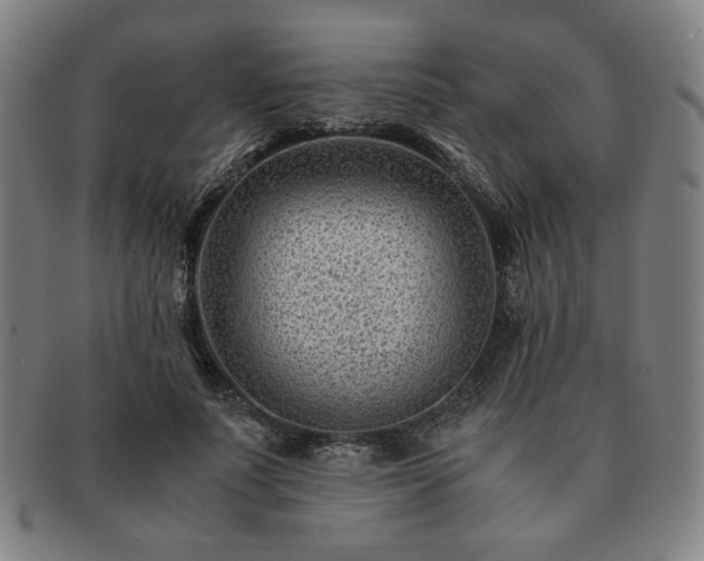 X0000091450691200708231255