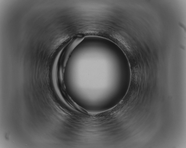 X0000091450692200708231255