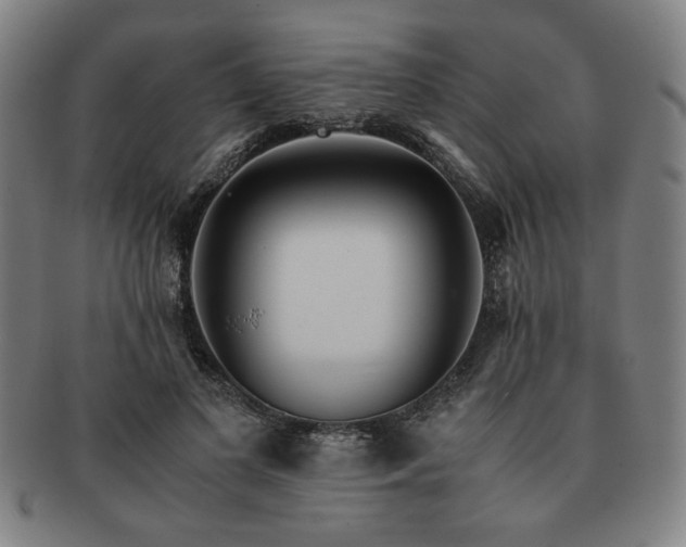 X0000091450693200708231255