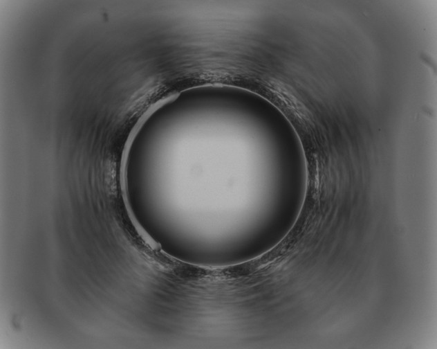 X0000091450696200708231255