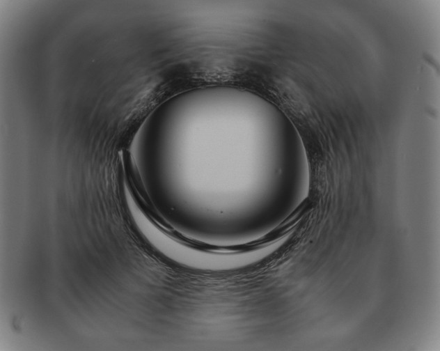 X0000091450697200708231255