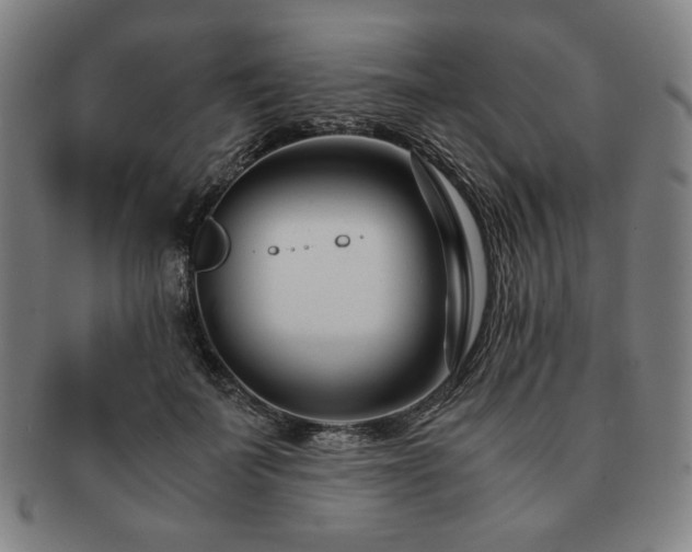 X0000091450699200708231255