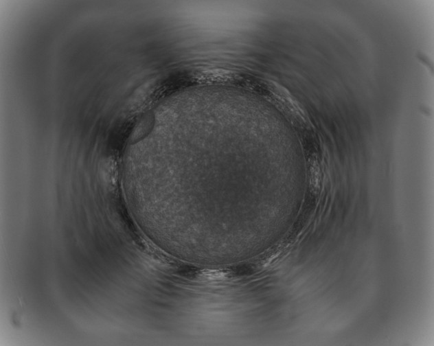 X0000091450701200708231255